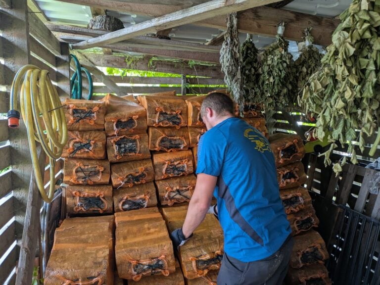 Kuivad küttepuud võrkkottides kuivas hoiukohas