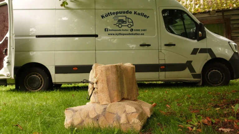 Võrkkotid küttepuid murul Küttepuude Kulleri kaubiku kõrval